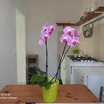 Casa Bianca Ischia بيت للعطل
