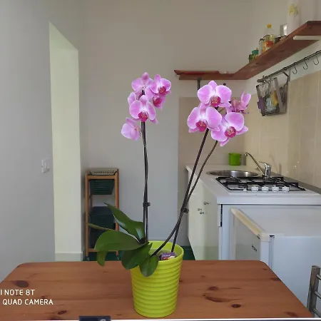 Casa Bianca Ischia Дом отдыха