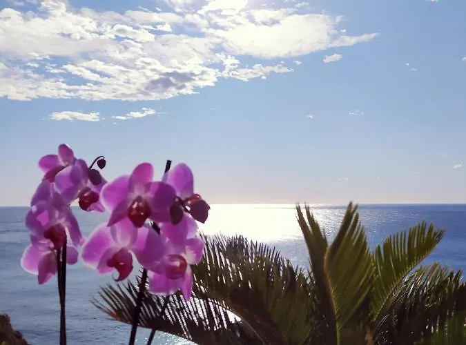 Casa Bianca Ischia Holiday home Sant'Angelo (Isola d'Ischia)