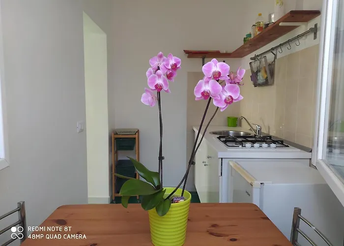 Casa Bianca Ischia Holiday home